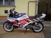 2003 Honda FES 125 Pantheon photo